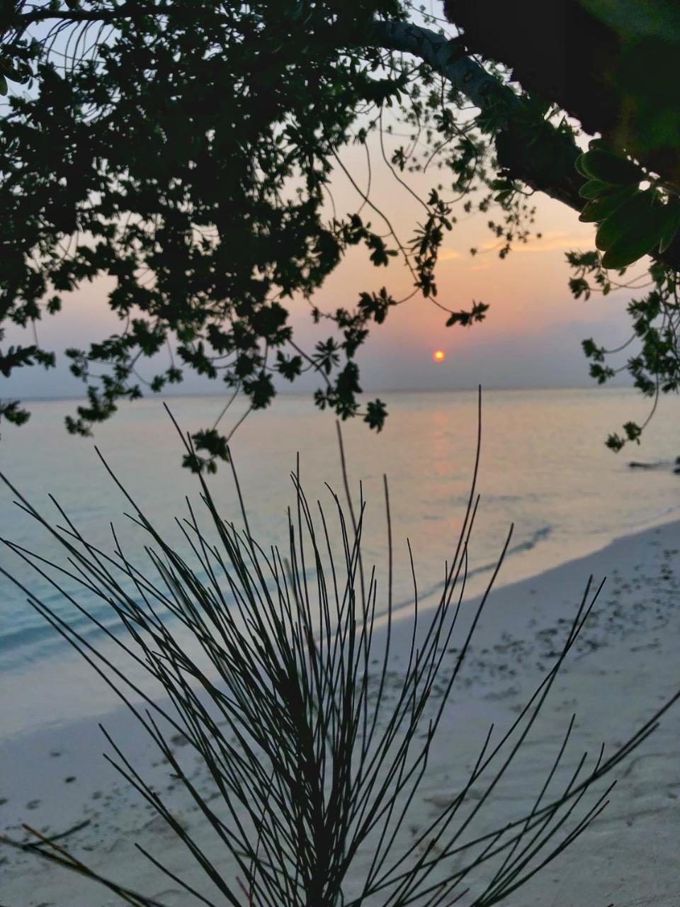 Wow Retreat Hotel Felidhoo Exterior photo