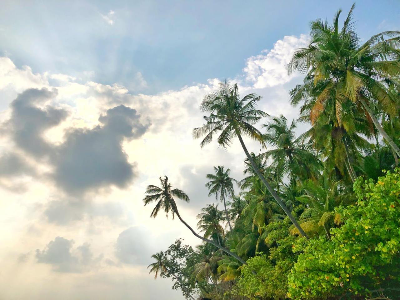 Wow Retreat Hotel Felidhoo Exterior photo